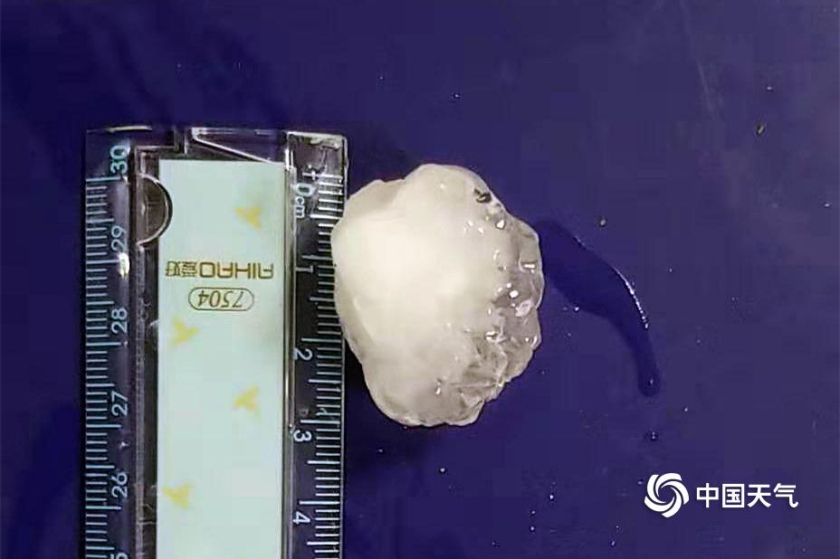 獨(dú)步天下全文閱讀