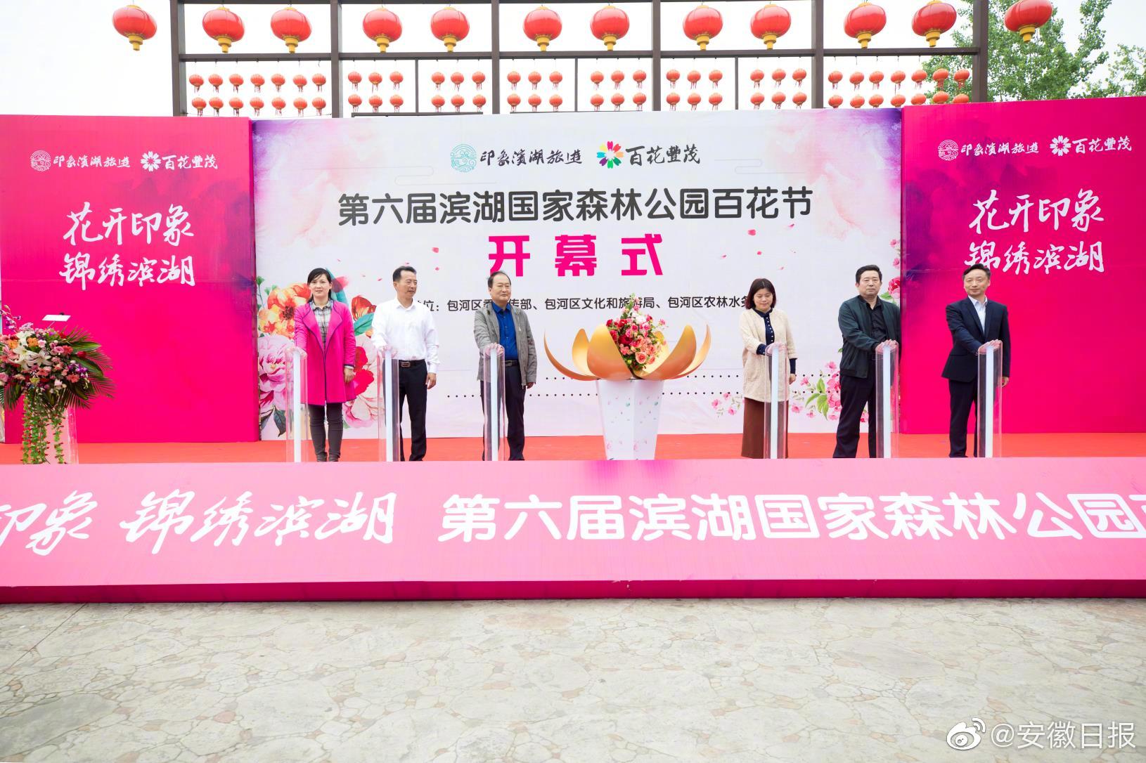 江易淮蘇雨眠的小說免費閱讀全文