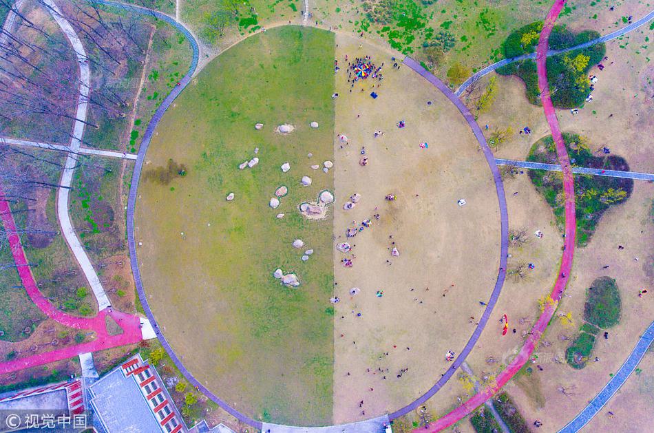 女神的兼職司機(jī)王逸全文免費(fèi)