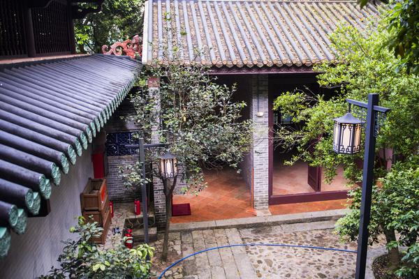 星落凝成糖完整版免費閱讀