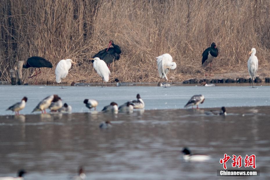 陳天龍紀(jì)秋水全文免費(fèi)閱讀更新