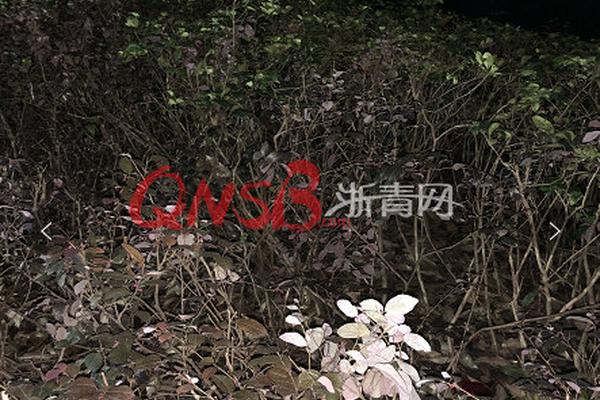 瑾寧陳靖廷是什么小說(shuō)