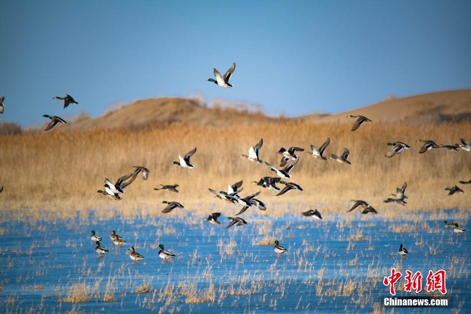 風(fēng)月寶鑒之