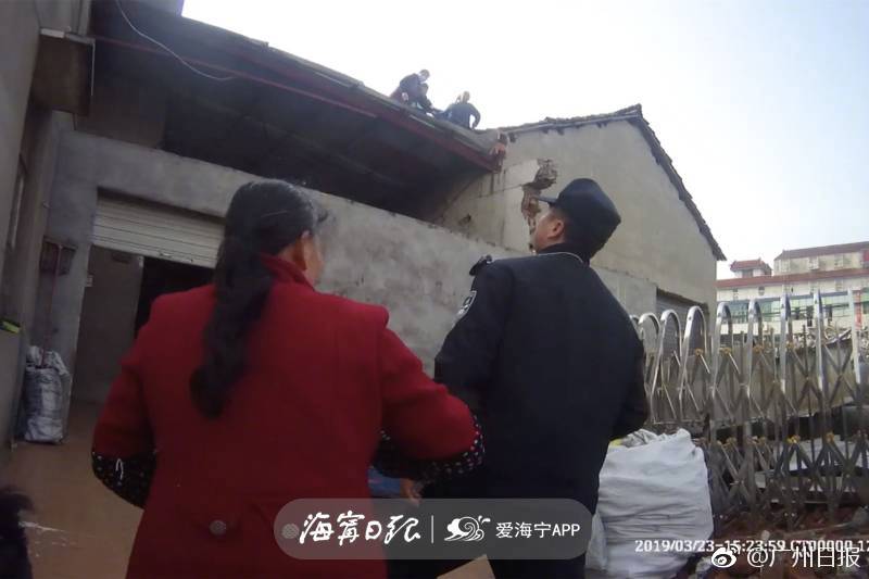 蕭軒和夏萍免費(fèi)閱讀在線