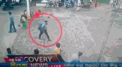 唐若雪葉凡小說免費閱讀