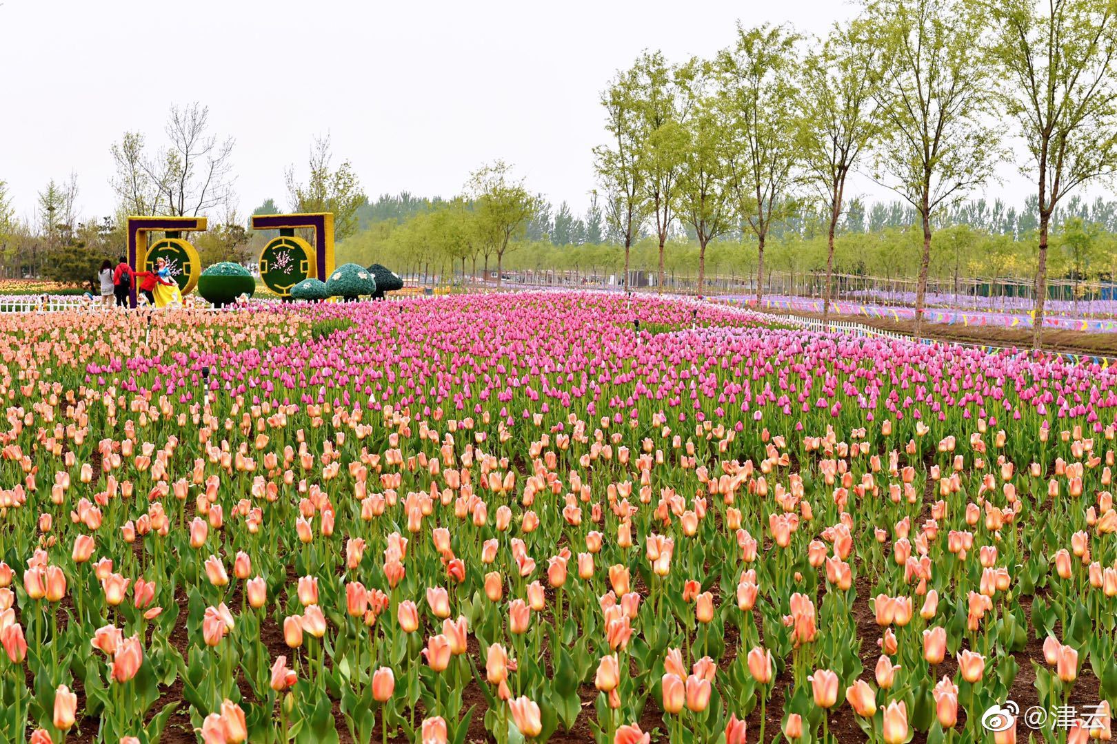 狂仙 陳風(fēng)笑