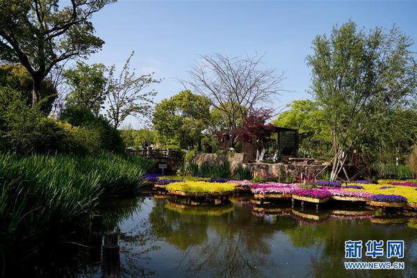 她開始慢迎迎合逍遙人生