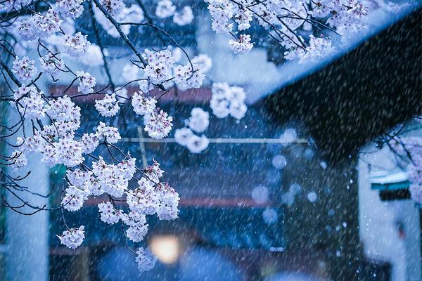 愛(ài)在黎明前降落小說(shuō)免費(fèi)閱讀