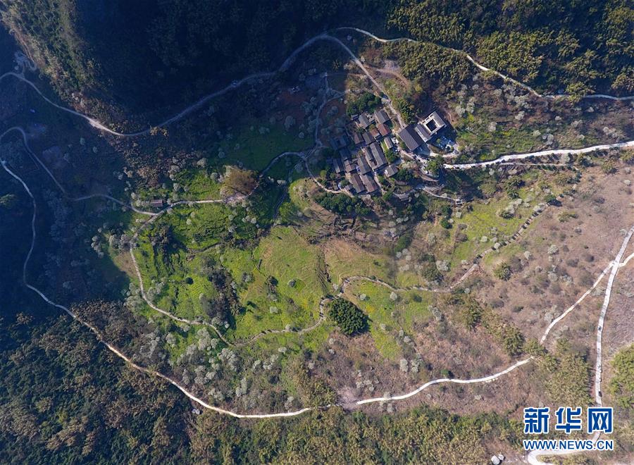 梅花三弄什么意思