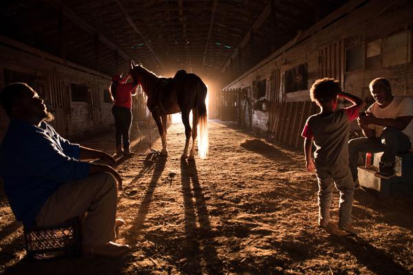 葉修無敵主宰系統(tǒng)
