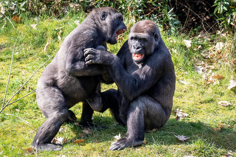 帝王業(yè)結局