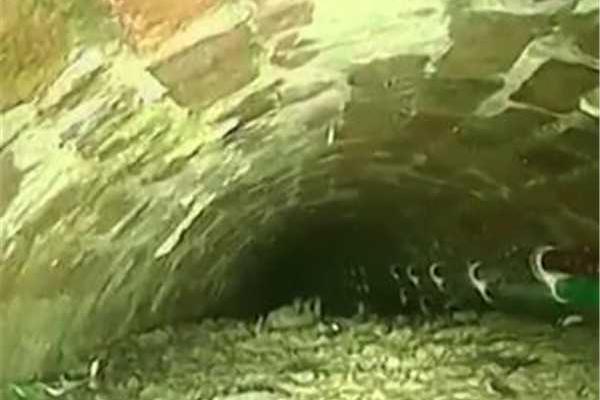 林詩曼肖凡小說免費閱讀