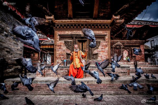 林亦可和顧景霆小說免費