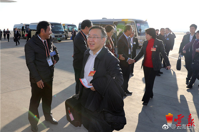 落難的美人仙君txt