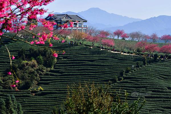 男狐貍精被哄著吃掉的小說免費(fèi)閱讀