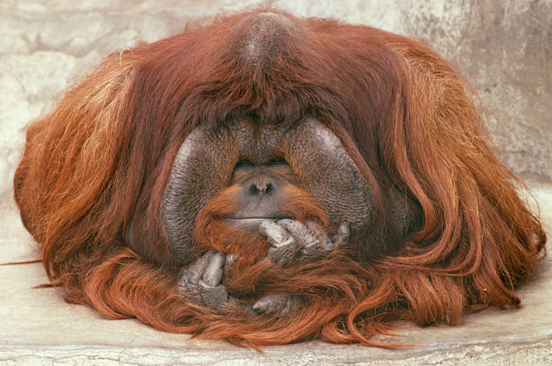 補(bǔ)課(出軌)h