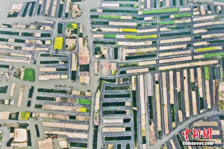 上流社會 沈冬至 po