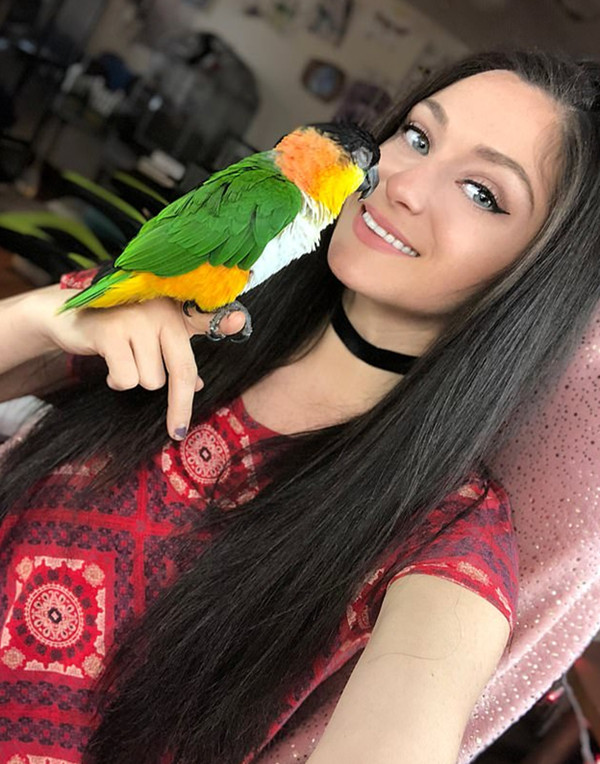 慕安安宗政御全文免費無彈窗閱讀筆趣閣