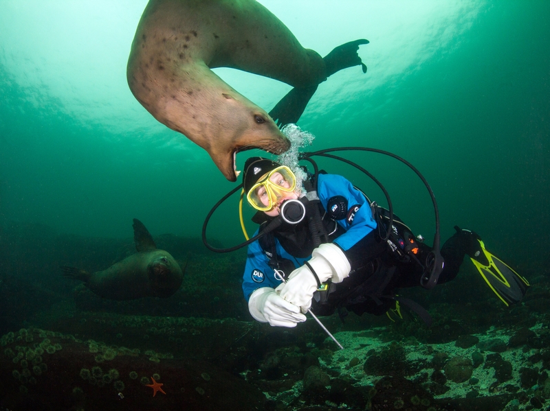 溫南枳宮沉全文免費閱讀