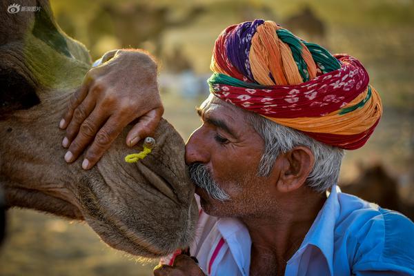 《急救護士》法版