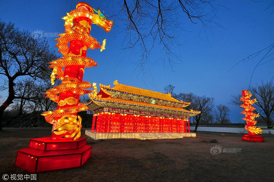 暴君的替身棄后