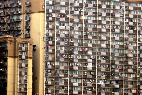 我在娛樂圈爽文里當(dāng)咸魚