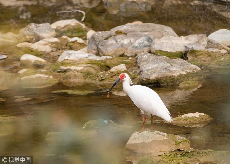 穿越到隨處做x的世界